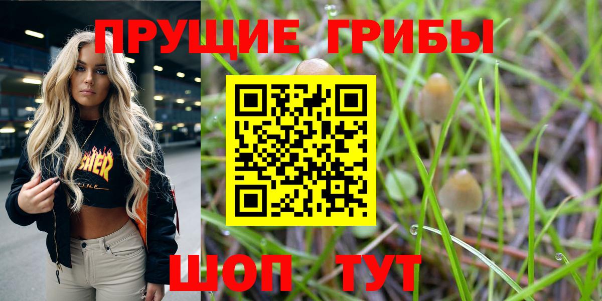 Галлюциногенные грибы GOLDEN TEACHER  Вход с VPN  Галлюциногенные грибы мухоморы  Асбест 